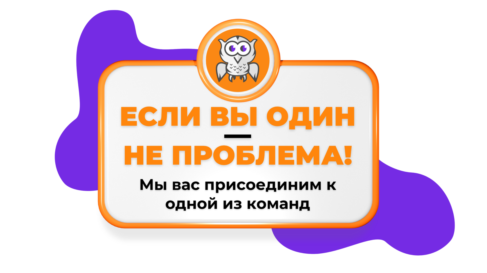Бубо квиз. Квиз бубо.